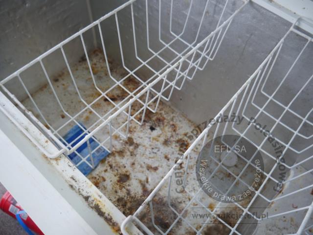 15 - Przyczepa gastronomiczna "KEBAB" NIEWIADÓW 2021r.