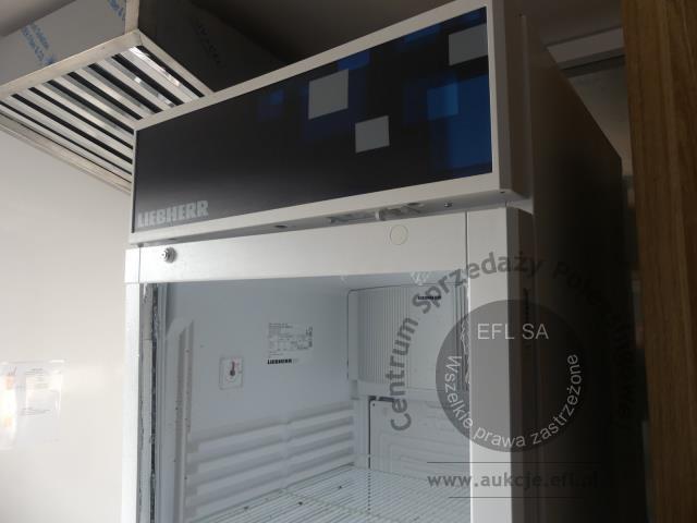 11 - Przyczepa gastronomiczna "LODY-GOFRY" TA-NO wraz z wyposażeniem 2024r.