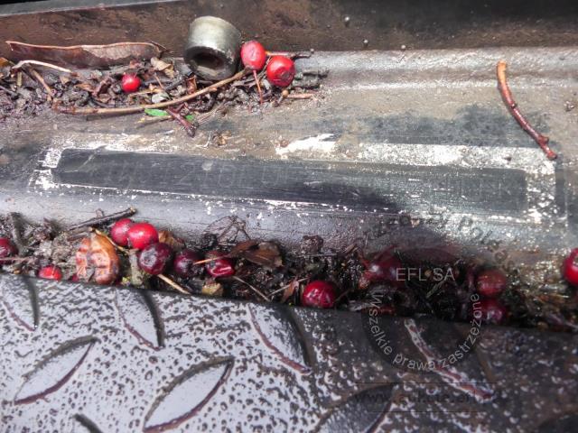 22 - Maszyna leśna Forwarder John Deere 1210E  2014r.