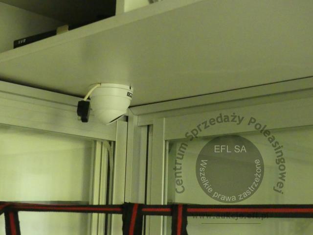 19 - Przyczepa gastronomiczna &quot;LODY GOFRY&quot; Niewiadów 2017r.