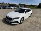 Skoda Octavia 2.0 TDI Ambition 2022r. WND0857C Pojazd znajduje się w firmie MDM AUTO sp. z o.o. ul. Morska 78A, 81-225 Gdynia