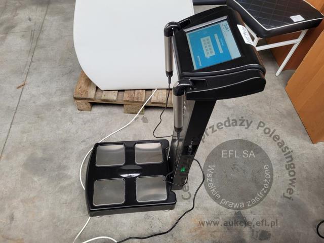 4 - Analizator Body Weight 2024r.