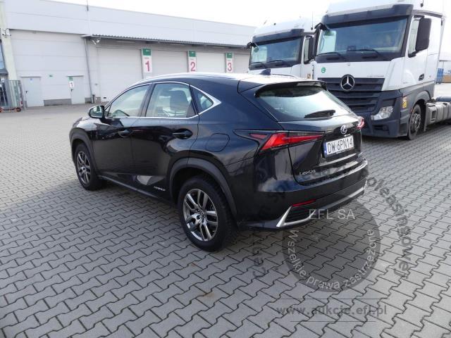 7 - Lexus NX 300h Business Edition AWD 2021r. DW6PN14 Magnice