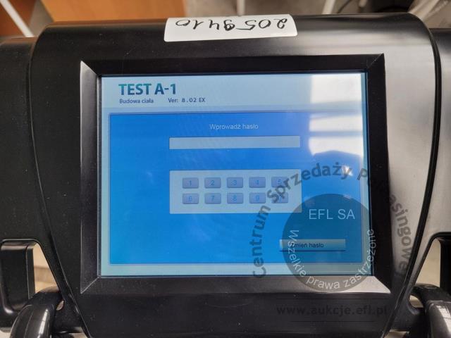 6 - Analizator Body Weight 2024r.
