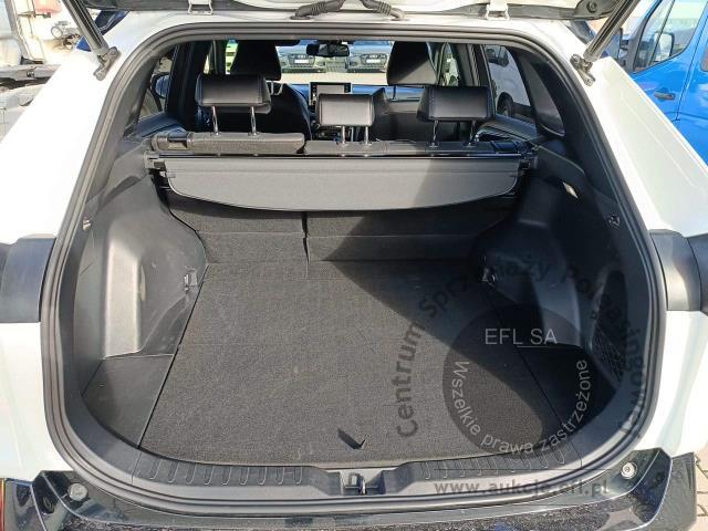 9 - Toyota RAV4 2.5 Hybrid Selection 4x4 2022r. DW1TX65 Magnice
